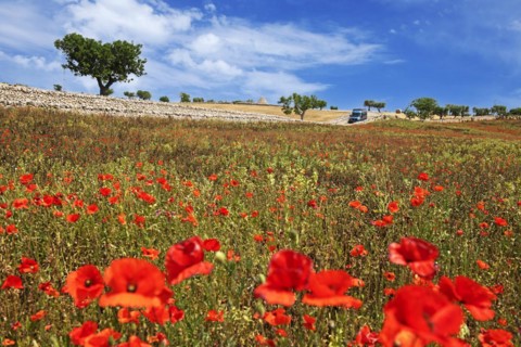 Camper van on a side road between Noci and Alberobello