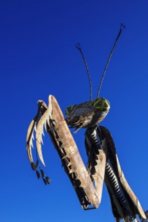 Rusty steel praying mantis