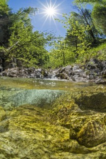 Underwater photo in a mountain stream in the Kalkalpen National Park