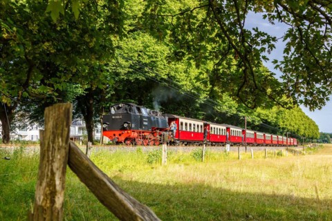 Steam train of the Baederbahn Molli railway Steam locomotive in Bad Doberan