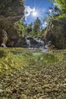Underwater photo in a mountain stream in the Kalkalpen National Park