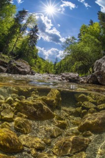Underwater photo in a mountain stream in the Kalkalpen National Park