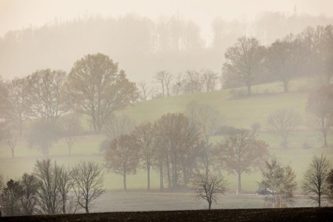 Landscape in Koenigshain