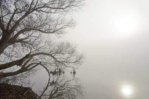 Moehnesee