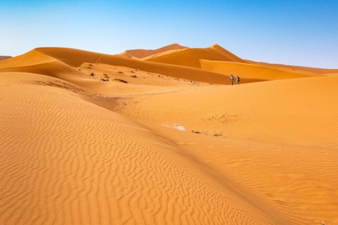 Red Sand Dunes