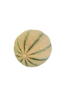 Cantaloupe melon or Charentais melon