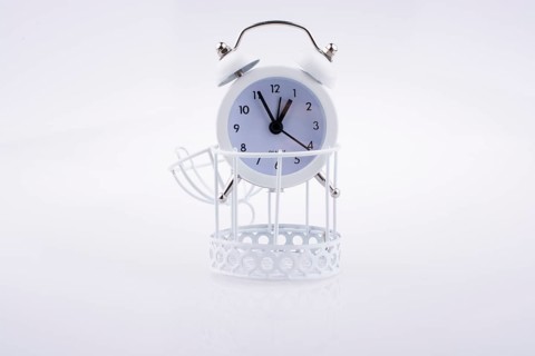 White color alarm clock on bird cage on white background