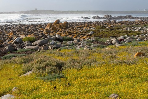 Mauritzbaai