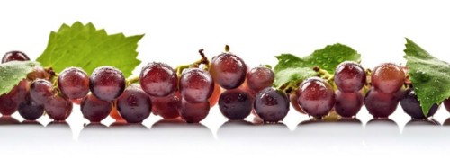 Seamless tileable row of fresh grapes on the vine on a white background