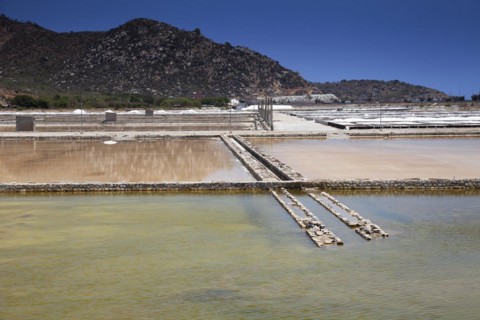 Salt fields for salt production