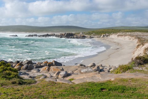 Plankiesbaai