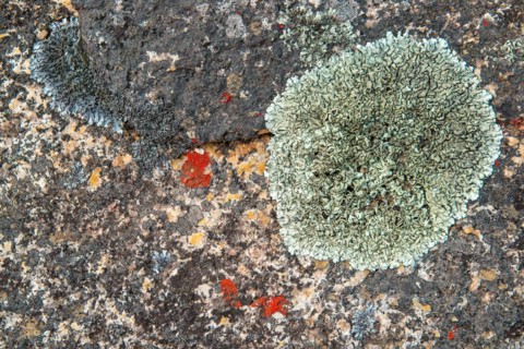 Seeberg
