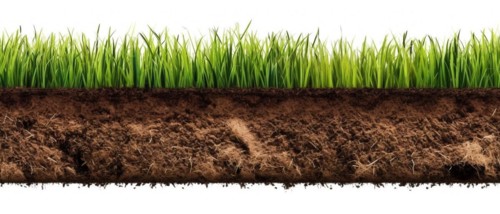 Seamless tileable row of fresh grass and soil on a white background