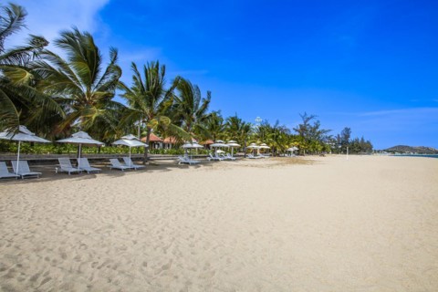 Beach with Umbrellas and sunbeds