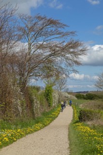 Hiking trail