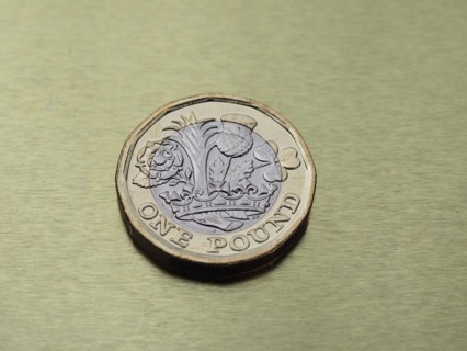 1 pound coin money