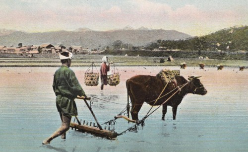 Agriculture