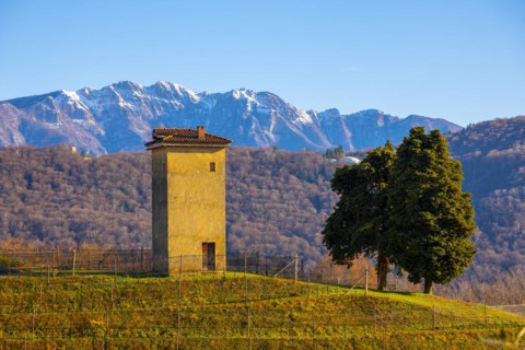 Vineyard in Collina d'oro with Mountain in Lugano