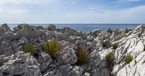 Rocks on the coast