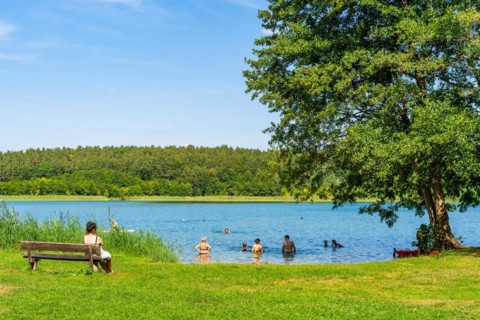 Bathing area with meadow at Zenssee