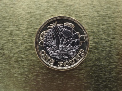 1 pound coin money