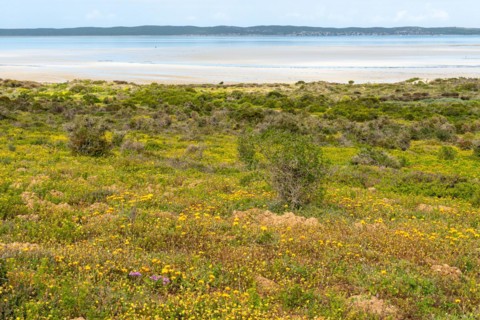 West Coast National Park