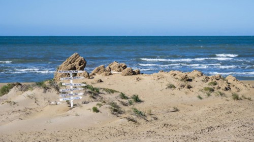 On the beach