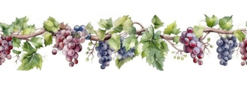 Seamless tileable watercolor row of fresh grapes on the vine on a white background