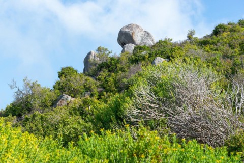 Granite rocks at Hoedjieskop