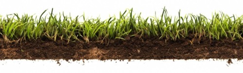 Seamless tileable row of fresh grass and soil on a white background