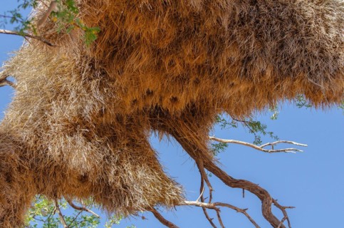 Kalahari Anib Lodge