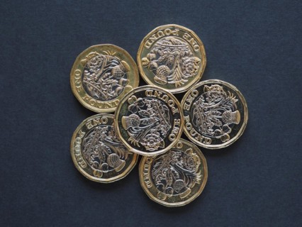 1 pound coin