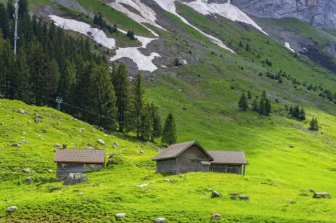 Mountain panorama at the foot of the Saentis on the Schwaegalp