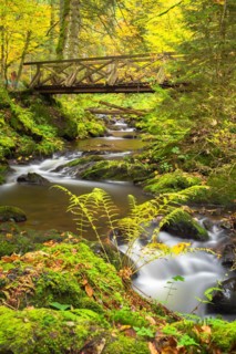 Bridge over the Ravenna stream