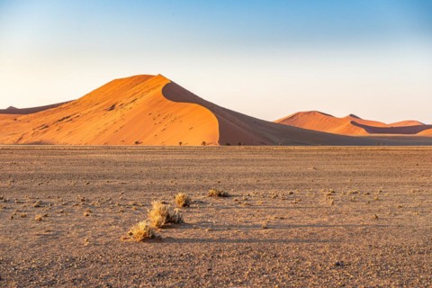 Red Sand Dunes