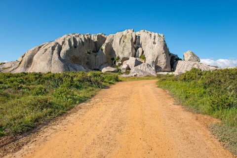 Postberg Section