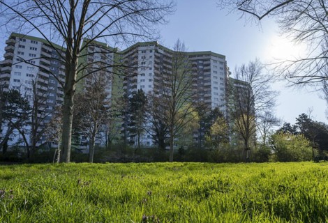 High-rise buildings in the Maerkisches Viertel residential area in Berlin Reinickendorf