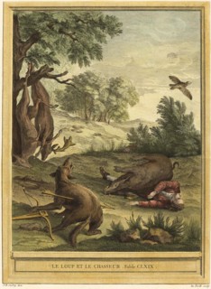 The Wolf and the Hunter