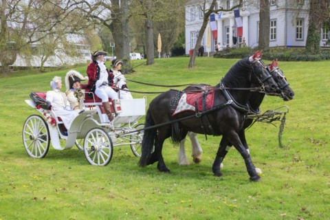 Horse-drawn carriage