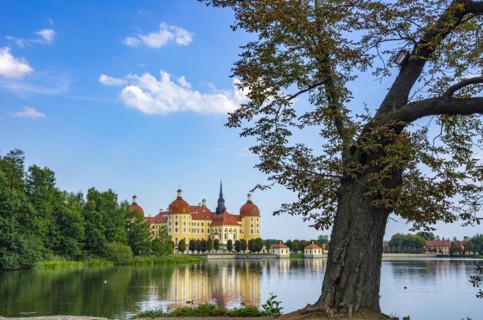The world-famous Moritzburg Castle near Dresden