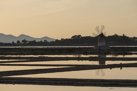 Windmill at sunset