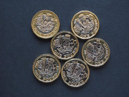 1 pound coin