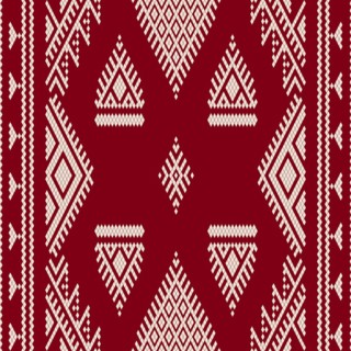 Traditional Tunisian embroidery pattern