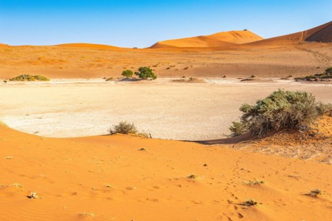 Red Sand Dunes