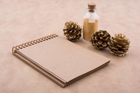 Pine cones