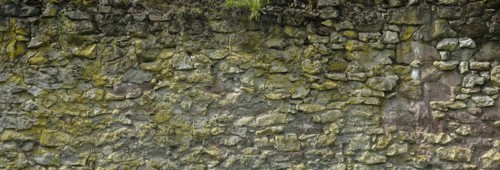 Historic town wall in the Dortelweil district