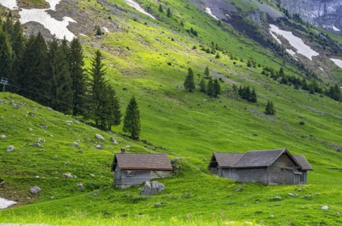 Mountain panorama at the foot of the Saentis on the Schwaegalp