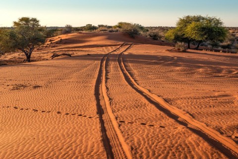 Kalahari Anib Lodge