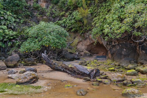 Deep Bay
