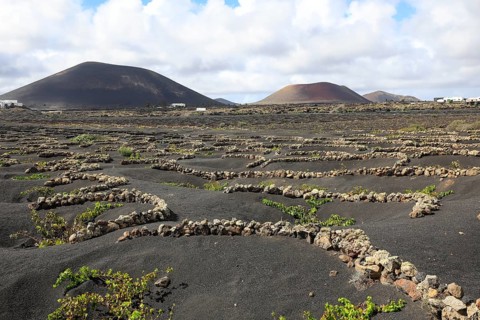 Wine-growing area in the volcanic landscape with a view of the volcanoes Monta Negra and Volcano Colorado Lanzarote